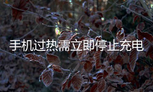 手機(jī)過熱需立即停止充電，防范潛在風(fēng)險(xiǎn)，保護(hù)用戶安全