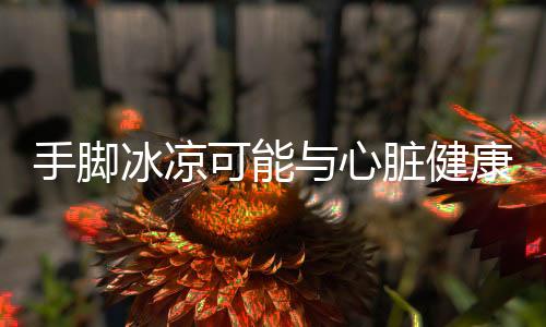 手腳冰涼可能與心臟健康有關(guān)，深入解析原因及應對措施