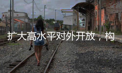 擴(kuò)大高水平對外開放，構(gòu)建開放型經(jīng)濟(jì)新局面