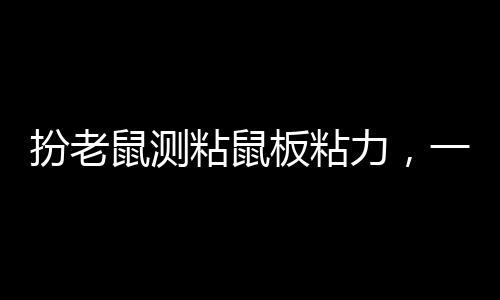 扮老鼠測粘鼠板粘力，一場別開生面的實驗之旅