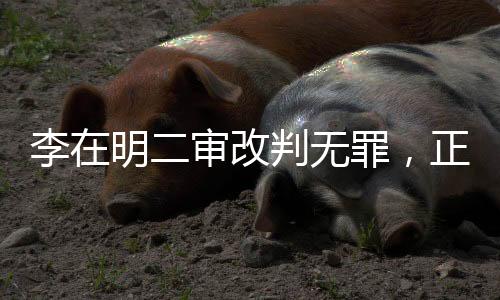 李在明二審改判無(wú)罪，正義的勝利還是法律的反思