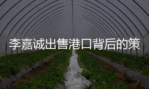 李嘉誠出售港口背后的策略與考量——一個深度的經(jīng)濟觀察