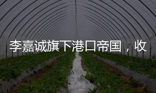 李嘉誠旗下港口帝國，收入概覽與商業(yè)版圖擴(kuò)展