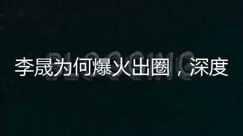 李晟為何爆火出圈，深度解析其成功之路