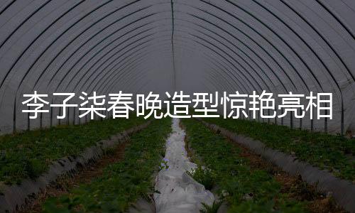 李子柒春晚造型驚艷亮相，融合濰坊風箏技藝展現(xiàn)傳統(tǒng)文化魅力