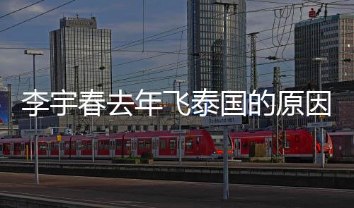 李宇春去年飛泰國的原因找到了