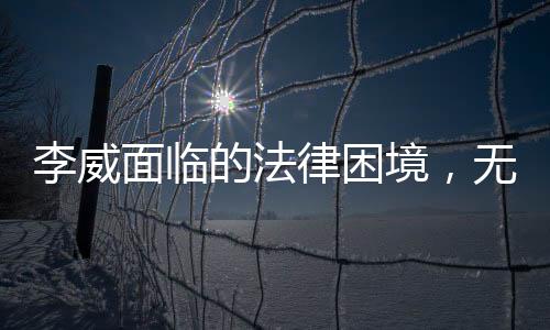 李威面臨的法律困境，無期或死刑判決探析