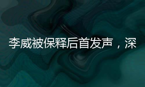 李威被保釋后首發(fā)聲，深度解讀其背后故事及未來(lái)展望
