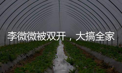 李微微被雙開，大搞全家腐
