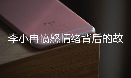 李小冉憤怒情緒背后的故事