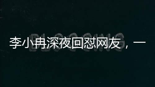 李小冉深夜回懟網(wǎng)友，一場(chǎng)深夜的言論風(fēng)暴與公眾人物的責(zé)任感