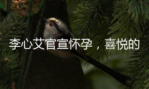 李心艾官宣懷孕，喜悅的官宣背后的小細(xì)節(jié)和熱議背后的靜謐心情