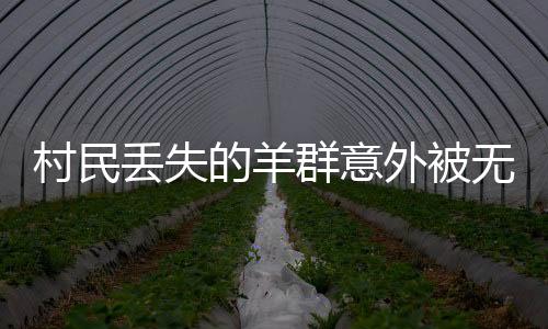 村民丟失的羊群意外被無人機找回，一段溫馨的人與自然和諧故事