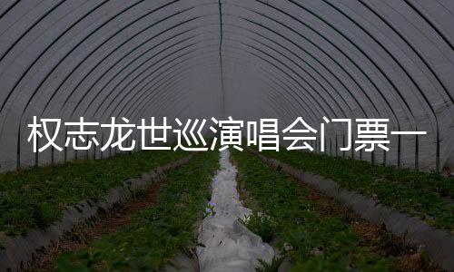 權志龍世巡演唱會門票一經(jīng)開放即售罄 同時在線人數(shù)達24萬