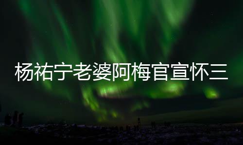 楊祐寧老婆阿梅官宣懷三胎，幸福家庭再添喜訊