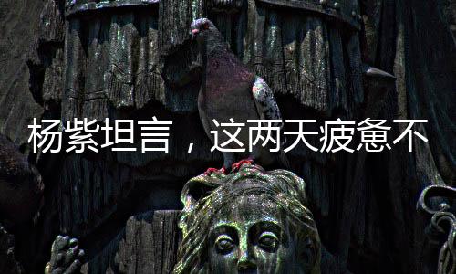 楊紫坦言，這兩天疲憊不堪，探究背后原因