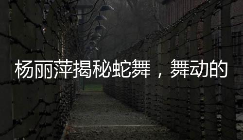 楊麗萍揭秘蛇舞，舞動的神秘與藝術(shù)的獨(dú)特魅力