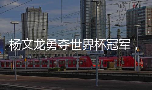 楊文龍勇奪世界杯冠軍，中國(guó)乒乓球的輝煌時(shí)刻