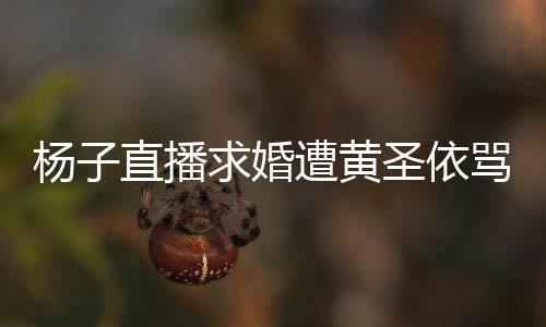 楊子直播求婚遭黃圣依罵五分鐘內(nèi)幕揭秘