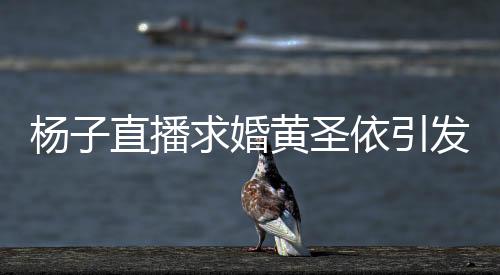 楊子直播求婚黃圣依引發(fā)爭議，現(xiàn)場被罵五分鐘
