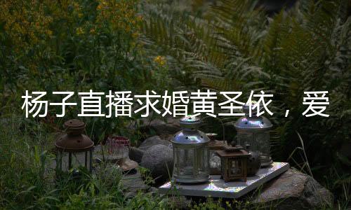 楊子直播求婚黃圣依，愛情與數(shù)字共舞的一刻