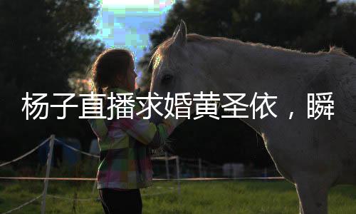 楊子直播求婚黃圣依，瞬間點(diǎn)燃社交媒體熱度的愛情見證儀式