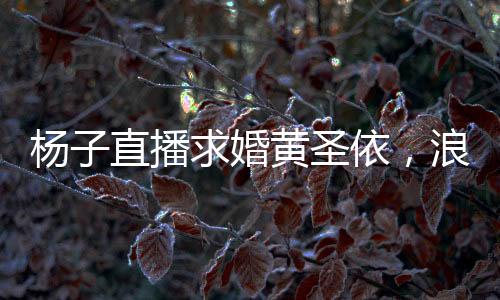 楊子直播求婚黃圣依，浪漫瞬間引發(fā)網(wǎng)友熱議