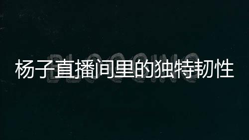 楊子直播間里的獨(dú)特韌性，即便家園已變，也要繼續(xù)直播賣貨