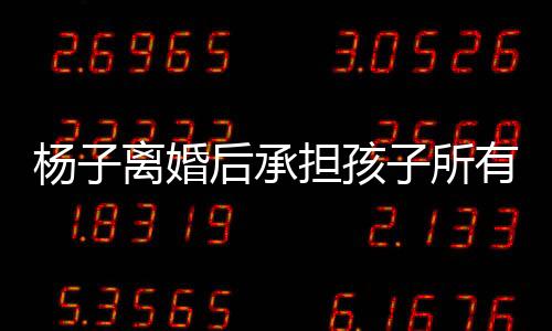 楊子離婚后承擔孩子所有費用的決定，聚焦家庭責任與個人擔當
