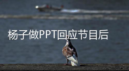楊子做PPT回應(yīng)節(jié)目后生活，揭秘明星幕后的真實(shí)故事