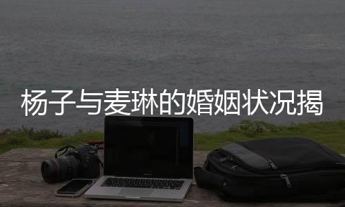 楊子與麥琳的婚姻狀況揭秘，傳聞中的離婚真相探究