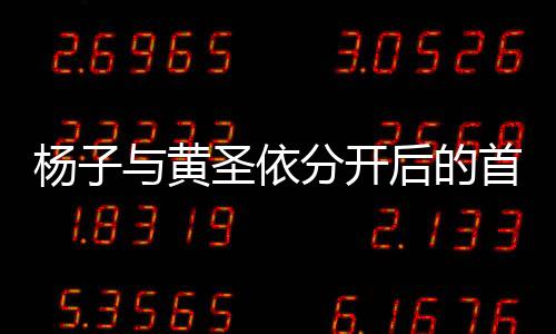 楊子與黃圣依分開后的首次同框，時光流轉(zhuǎn)，情感糾葛成焦點(diǎn)