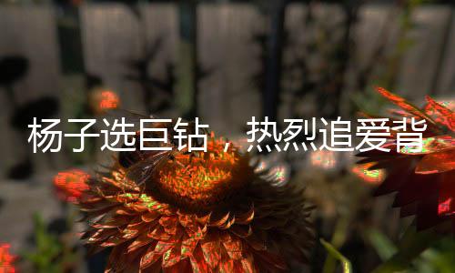 楊子選巨鉆，熱烈追愛背后的珠寶迷案——聚焦黃圣依失而復(fù)得的超級(jí)鉆戒揭秘之旅