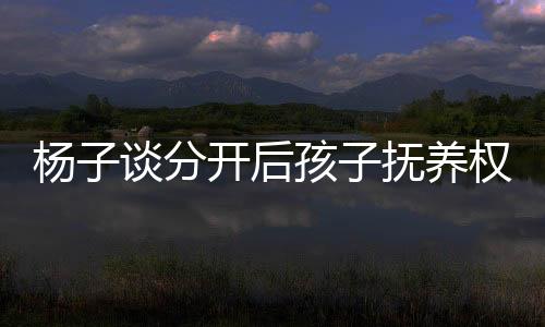 楊子談分開后孩子撫養(yǎng)權(quán)問題，聚焦親子未來，共筑成長(zhǎng)之路