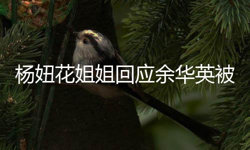 楊妞花姐姐回應(yīng)余華英被執(zhí)行死刑事件
