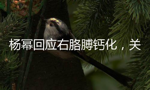 楊冪回應右胳膊鈣化，關(guān)注健康，傳遞正能量