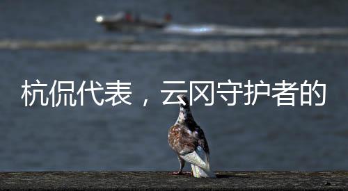 杭侃代表，云岡守護(hù)者的年度記錄