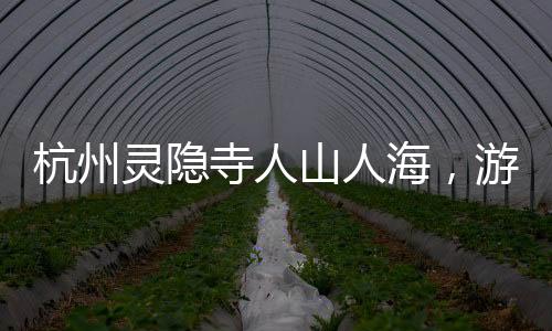 杭州靈隱寺人山人海，游客紛至沓來，感受千年古剎的魅力