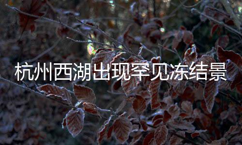 杭州西湖出現(xiàn)罕見(jiàn)凍結(jié)景象