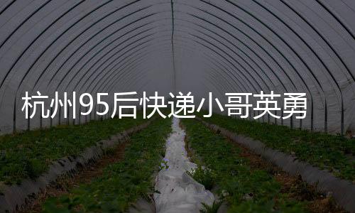 杭州95后快遞小哥英勇守護老人巨額財物，展現(xiàn)新時代正能量