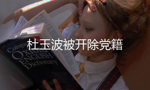 杜玉波被開除黨籍