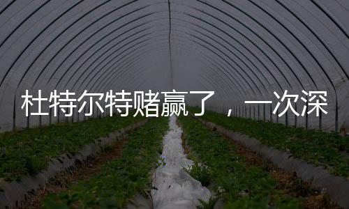 杜特爾特賭贏了，一次深度解讀