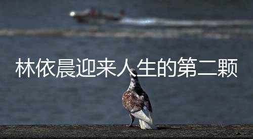 林依晨迎來人生的第二顆繁星——孕肚再次掀起娛樂圈的熱潮