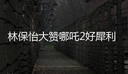 林保怡大贊哪吒2好犀利，深度解讀這部備受矚目的動畫電影