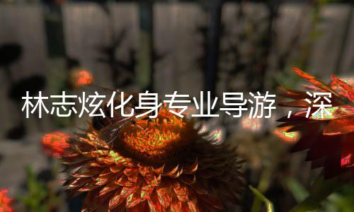 林志炫化身專業(yè)導游，深度解讀拙政園之美