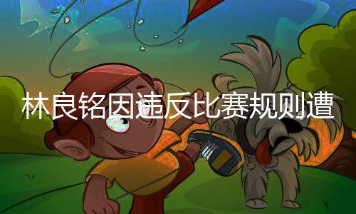 林良銘因違反比賽規(guī)則遭遇紅牌罰下——賽場爭議事件分析