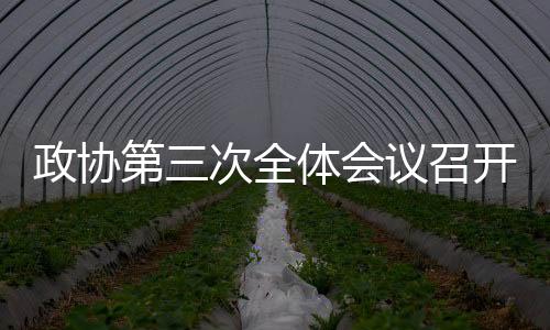 政協(xié)第三次全體會議召開，共商國家發(fā)展大計(jì)