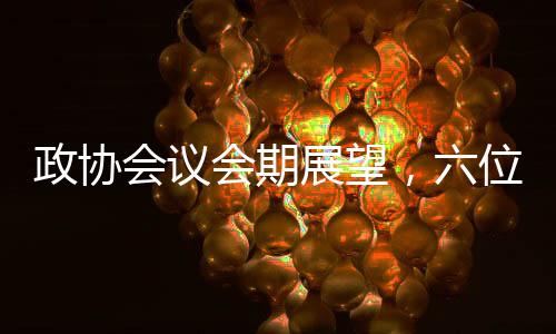 政協(xié)會議會期展望，六位一體全面關(guān)注