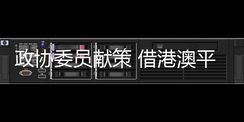 政協(xié)委員獻(xiàn)策 借港澳平臺(tái)推“寧夏IP”出海