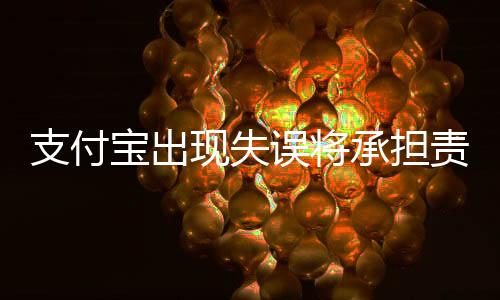 支付寶出現(xiàn)失誤將承擔(dān)責(zé)任新聞報道